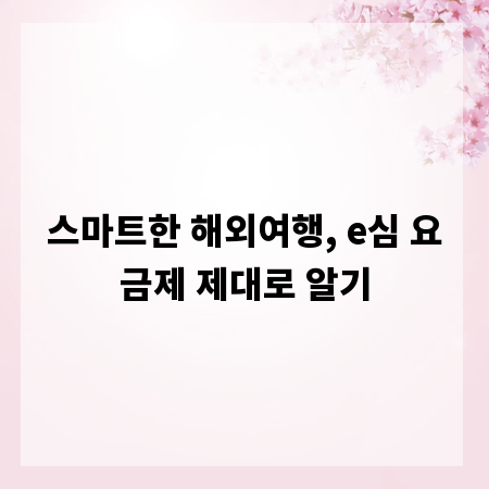 스마트한 해외여행, e심 요금제 제대로 알기
