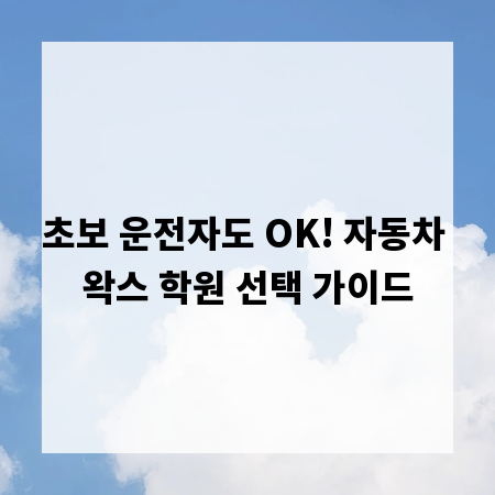초보 운전자도 OK! 자동차 왁스 학원 선택 가이드