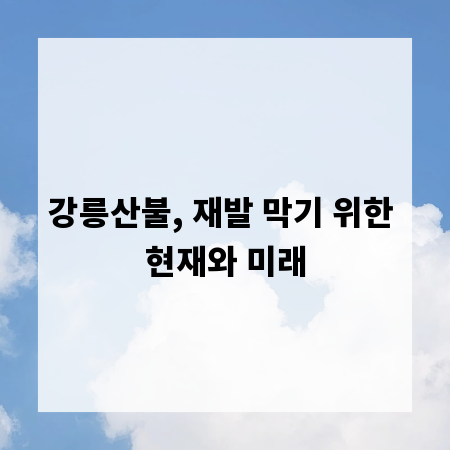 강릉산불, 재발 막기 위한 현재와 미래