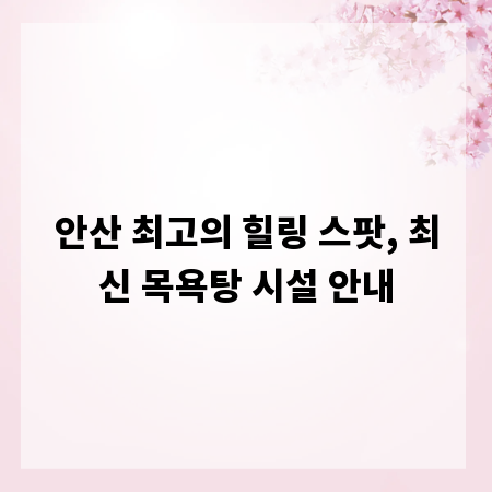 안산 최고의 힐링 스팟, 최신 목욕탕 시설 안내