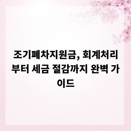 조기폐차지원금, 회계처리부터 세금 절감까지 완벽 가이드