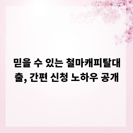 믿을 수 있는 철마캐피탈대출, 간편 신청 노하우 공개