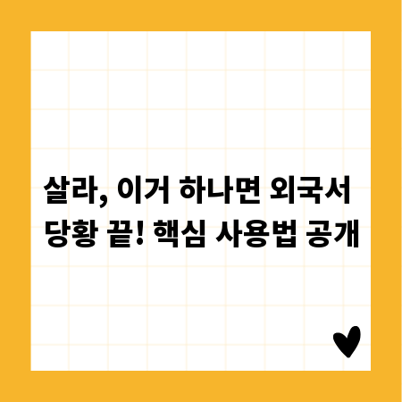 살라, 이거 하나면 외국서 당황 끝! 핵심 사용법 공개