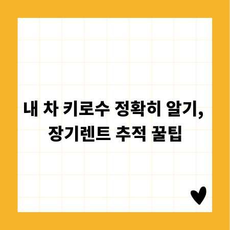 내 차 키로수 정확히 알기, 장기렌트 추적 꿀팁