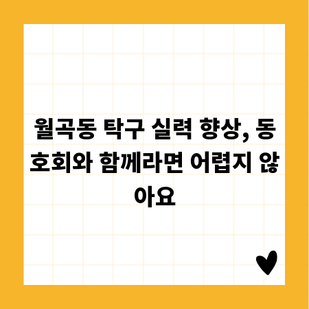 월곡동 탁구 실력 향상, 동호회와 함께라면 어렵지 않아요