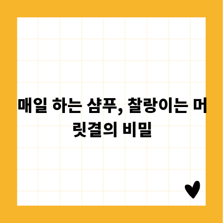 매일 하는 샴푸, 찰랑이는 머릿결의 비밀
