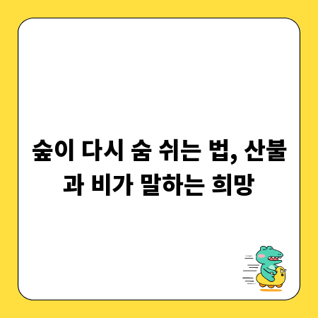 숲이 다시 숨 쉬는 법, 산불과 비가 말하는 희망