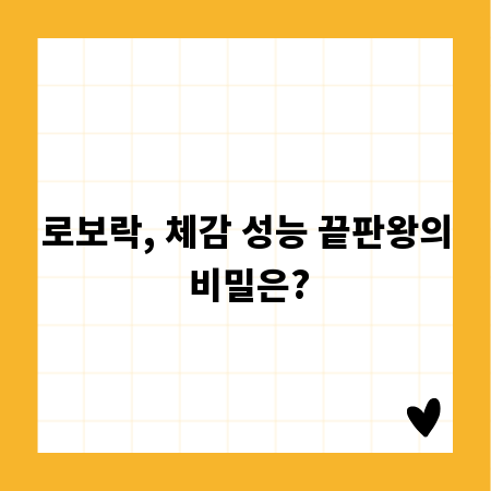 로보락, 체감 성능 끝판왕의 비밀은?