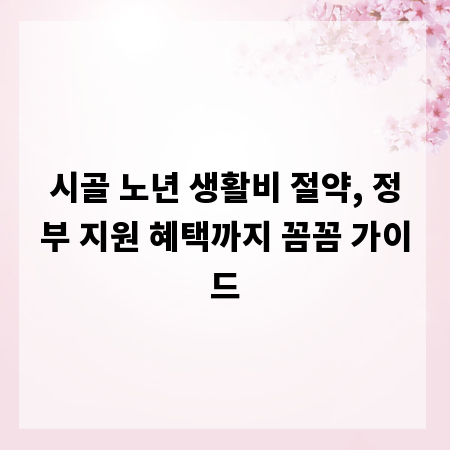 시골 노년 생활비 절약, 정부 지원 혜택까지 꼼꼼 가이드