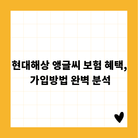 현대해상 앵글씨 보험 혜택, 가입방법 완벽 분석
