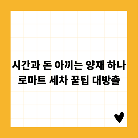 시간과 돈 아끼는 양재 하나로마트 세차 꿀팁 대방출
