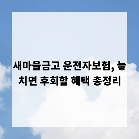 새마을금고 운전자보험, 놓치면 후회할 혜택 총정리
