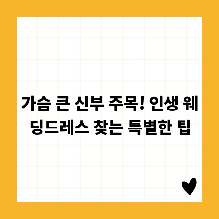 가슴 큰 신부 주목! 인생 웨딩드레스 찾는 특별한 팁