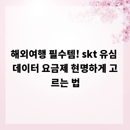해외여행 필수템! skt 유심 데이터 요금제 현명하게 고르는 법