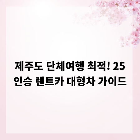 제주도 단체여행 최적! 25인승 렌트카 대형차 가이드