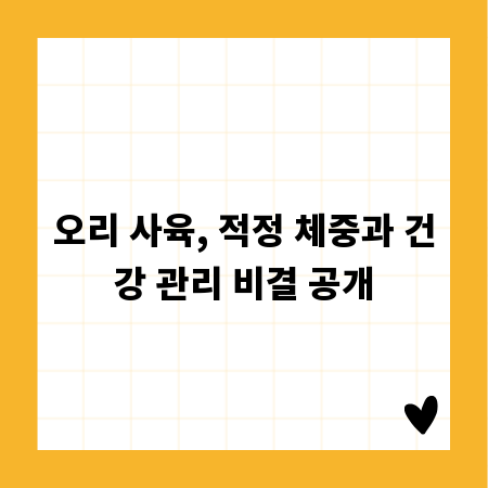 오리 사육, 적정 체중과 건강 관리 비결 공개