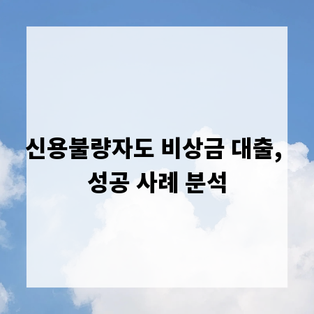 신용불량자도 비상금 대출, 성공 사례 분석