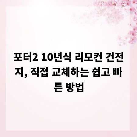 포터2 10년식 리모컨 건전지, 직접 교체하는 쉽고 빠른 방법