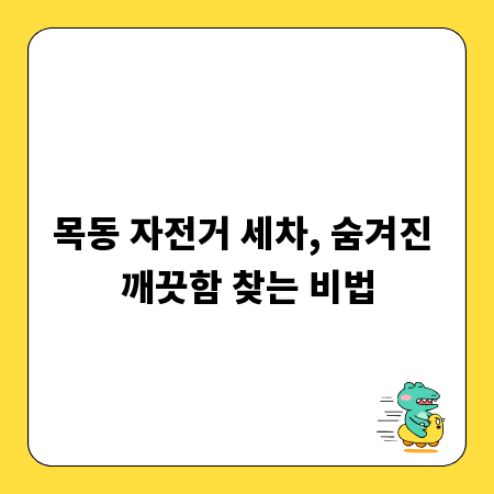목동 자전거 세차, 숨겨진 깨끗함 찾는 비법