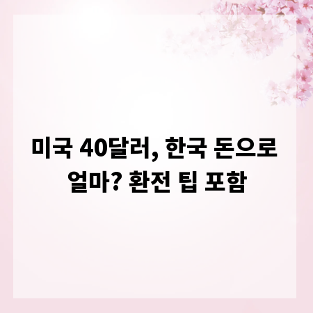 미국 40달러, 한국 돈으로 얼마? 환전 팁 포함