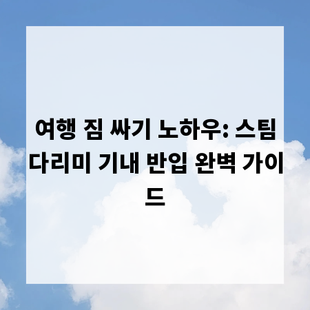여행 짐 싸기 노하우: 스팀다리미 기내 반입 완벽 가이드