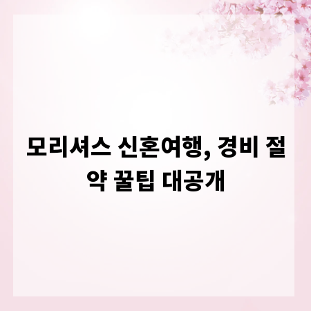모리셔스 신혼여행, 경비 절약 꿀팁 대공개