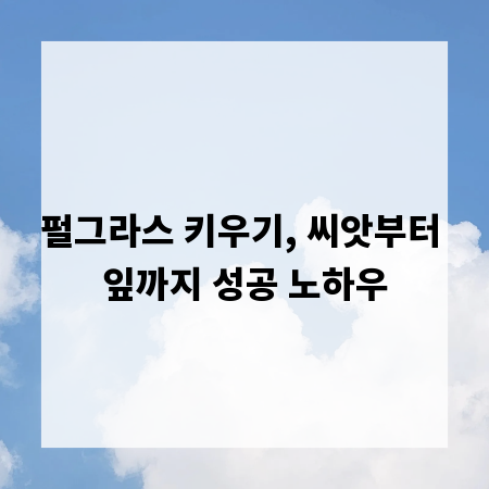 펄그라스 키우기, 씨앗부터 잎까지 성공 노하우