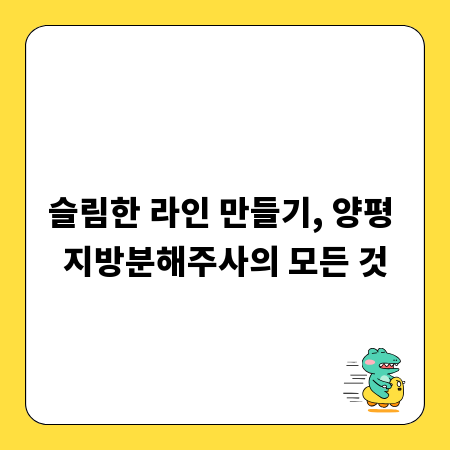 슬림한 라인 만들기, 양평 지방분해주사의 모든 것