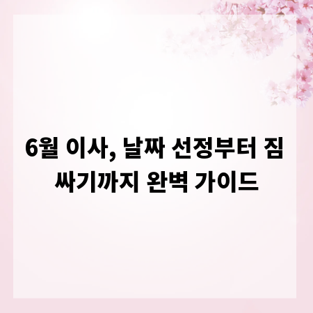 6월 이사, 날짜 선정부터 짐 싸기까지 완벽 가이드