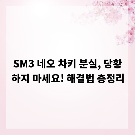 SM3 네오 차키 분실, 당황하지 마세요! 해결법 총정리