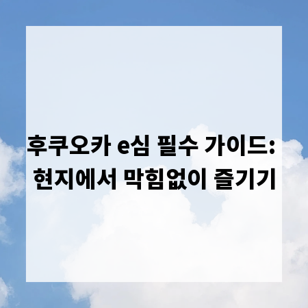 후쿠오카 e심 필수 가이드: 현지에서 막힘없이 즐기기