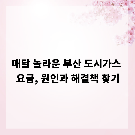 매달 놀라운 부산 도시가스 요금, 원인과 해결책 찾기