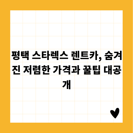 평택 스타렉스 렌트카, 숨겨진 저렴한 가격과 꿀팁 대공개