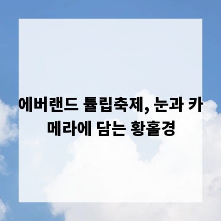 에버랜드 튤립축제, 눈과 카메라에 담는 황홀경
