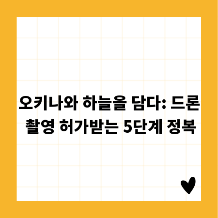 오키나와 하늘을 담다: 드론 촬영 허가받는 5단계 정복