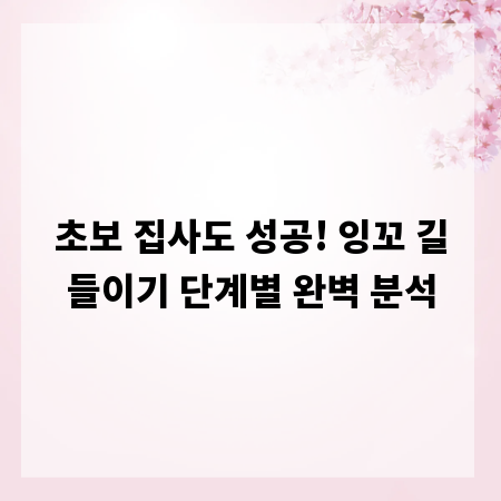 초보 집사도 성공! 잉꼬 길들이기 단계별 완벽 분석