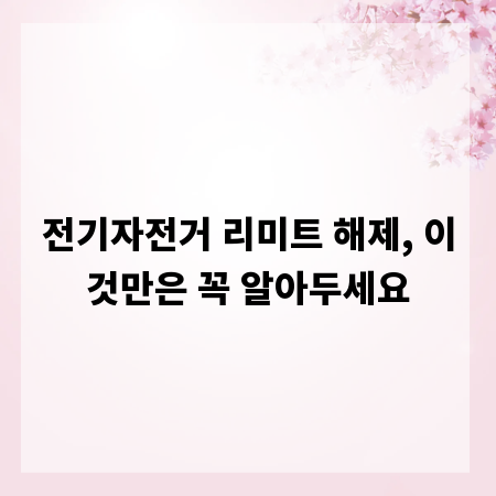 전기자전거 리미트 해제, 이것만은 꼭 알아두세요