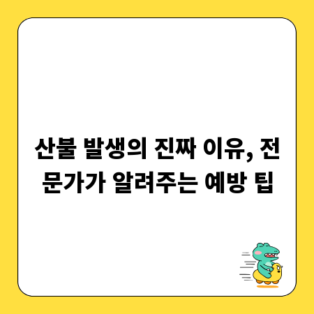 산불 발생의 진짜 이유, 전문가가 알려주는 예방 팁