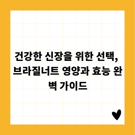 건강한 신장을 위한 선택, 브라질너트 영양과 효능 완벽 가이드