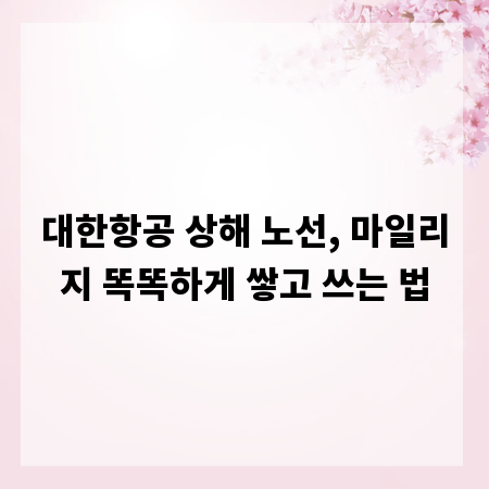 대한항공 상해 노선, 마일리지 똑똑하게 쌓고 쓰는 법