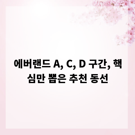 에버랜드 A, C, D 구간, 핵심만 뽑은 추천 동선