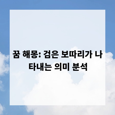 꿈 해몽: 검은 보따리가 나타내는 의미 분석