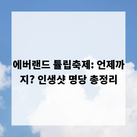 에버랜드 튤립축제: 언제까지? 인생샷 명당 총정리