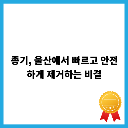 종기, 울산에서 빠르고 안전하게 제거하는 비결