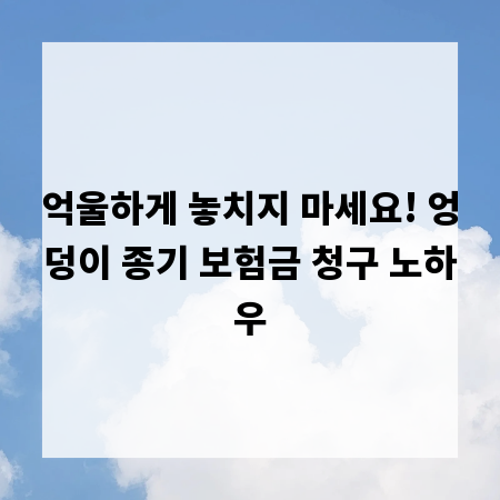 억울하게 놓치지 마세요! 엉덩이 종기 보험금 청구 노하우