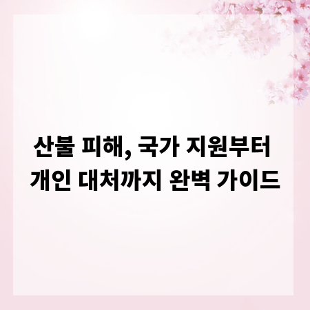 산불 피해, 국가 지원부터 개인 대처까지 완벽 가이드