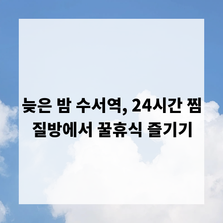 늦은 밤 수서역, 24시간 찜질방에서 꿀휴식 즐기기
