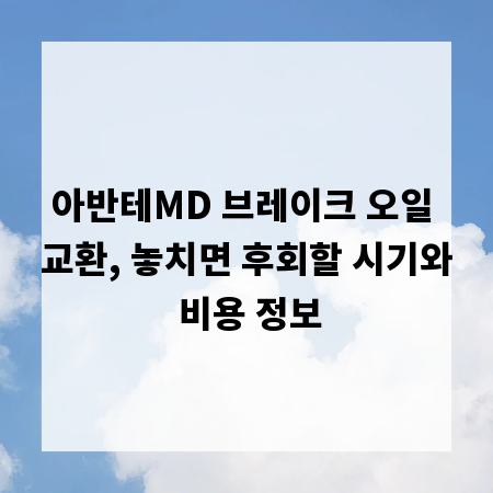 아반테MD 브레이크 오일 교환, 놓치면 후회할 시기와 비용 정보