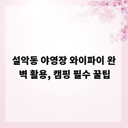 설악동 야영장 와이파이 완벽 활용, 캠핑 필수 꿀팁