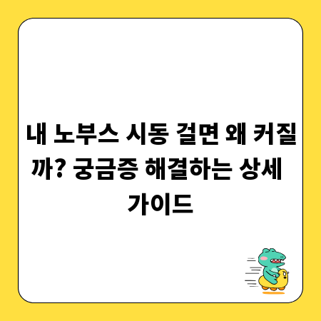 내 노부스 시동 걸면 왜 커질까? 궁금증 해결하는 상세 가이드